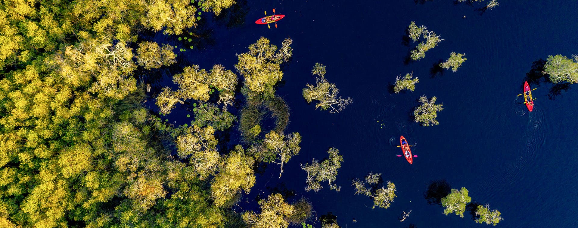 Boats on the lake