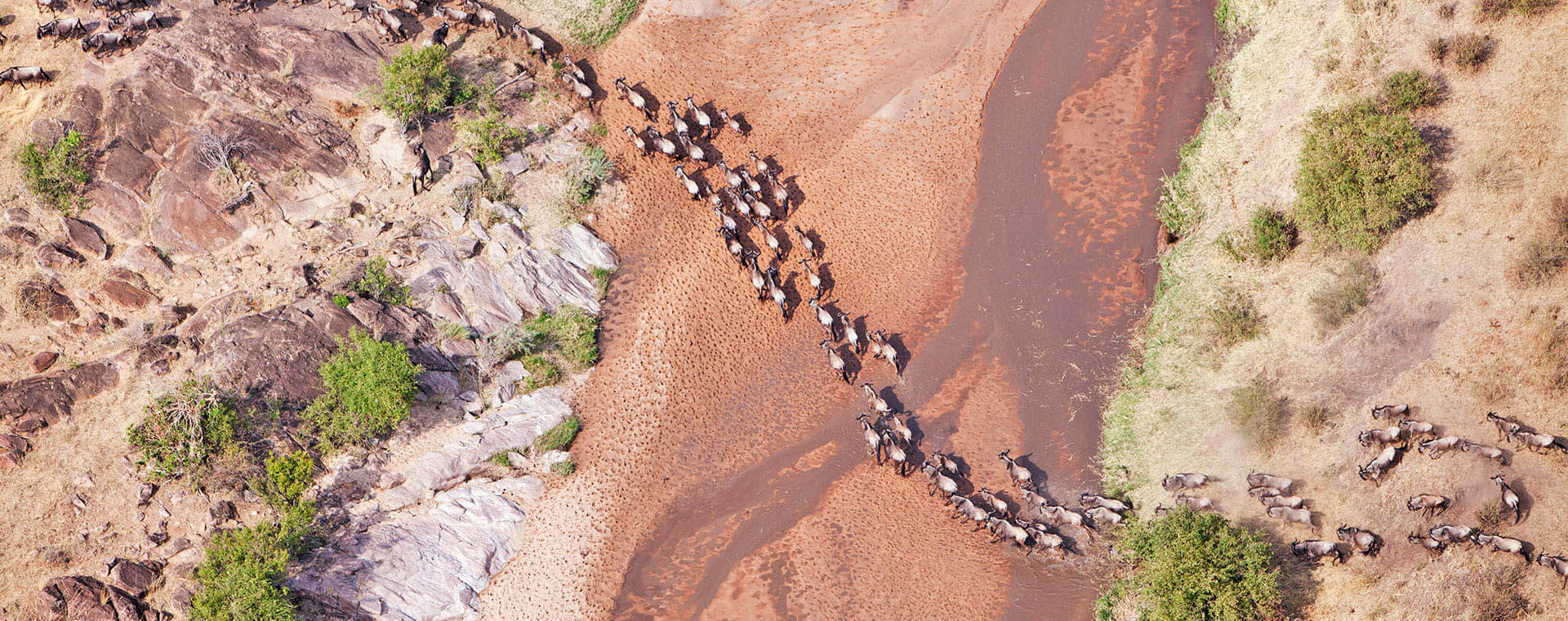A desert
