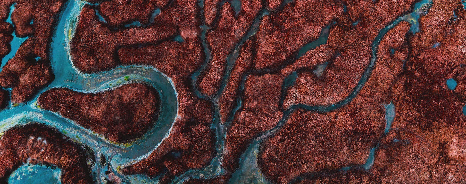 A river