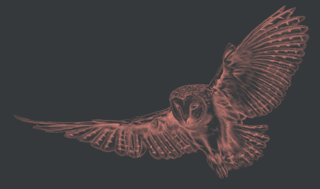 The red owl on the dark background